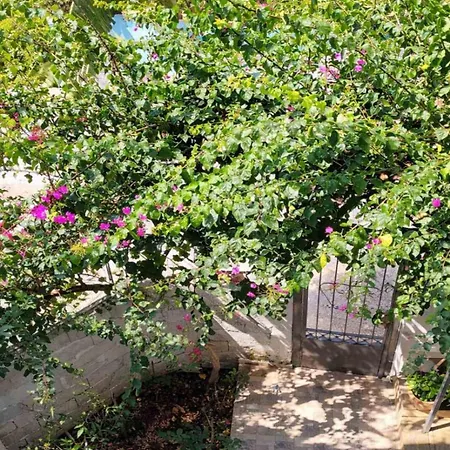 Dagos